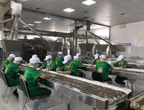 我市服裝輔料銷售工作成績(jī)顯著 互聯(lián)網(wǎng)營(yíng)銷精準(zhǔn)鏈接10萬(wàn)粉絲 全網(wǎng)曝光量突破1億次